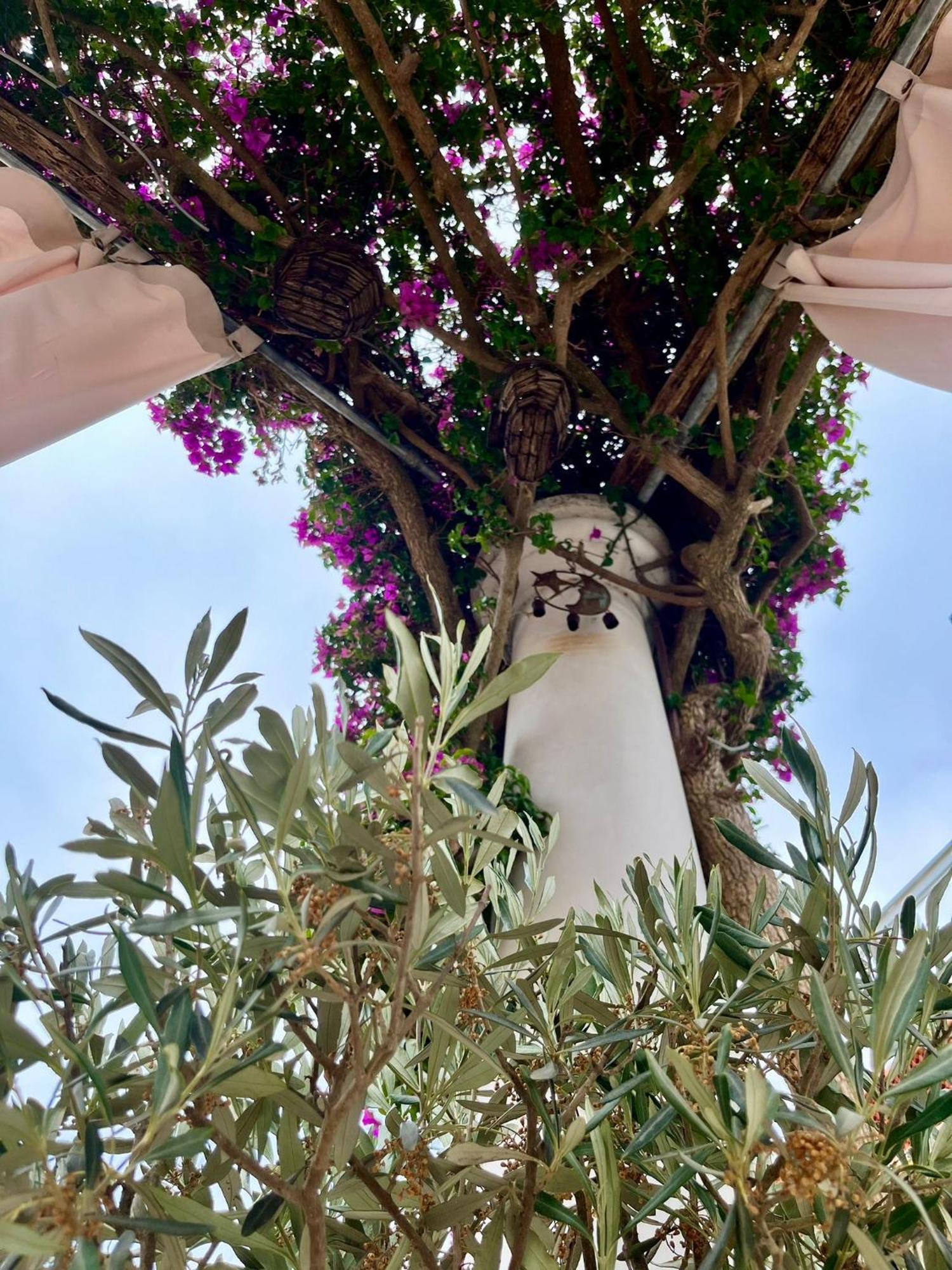 Alle Stelle B&B Anacapri  Exterior foto